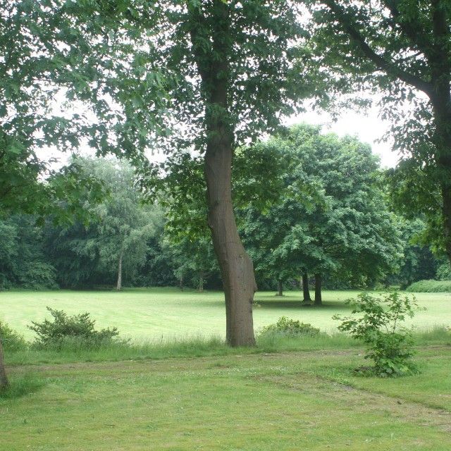  spelende kinderen